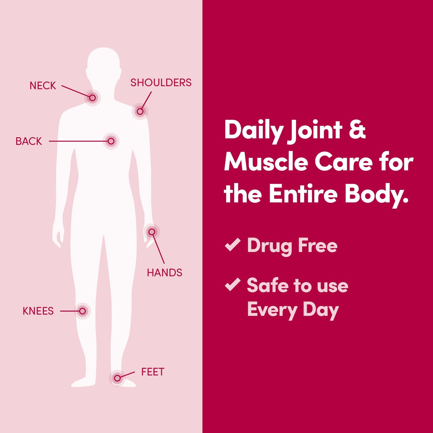 Penetrex Daily Joint & Muscle Care Cream – Soothing Botanical Formula with Arnica, Vitamin B6 & MSM – Lightweight Fast-Absorbing Cream for Everyday Movement - Non-Greasy - Light Scent- 2 oz PenetrexBuy Supplements Australia