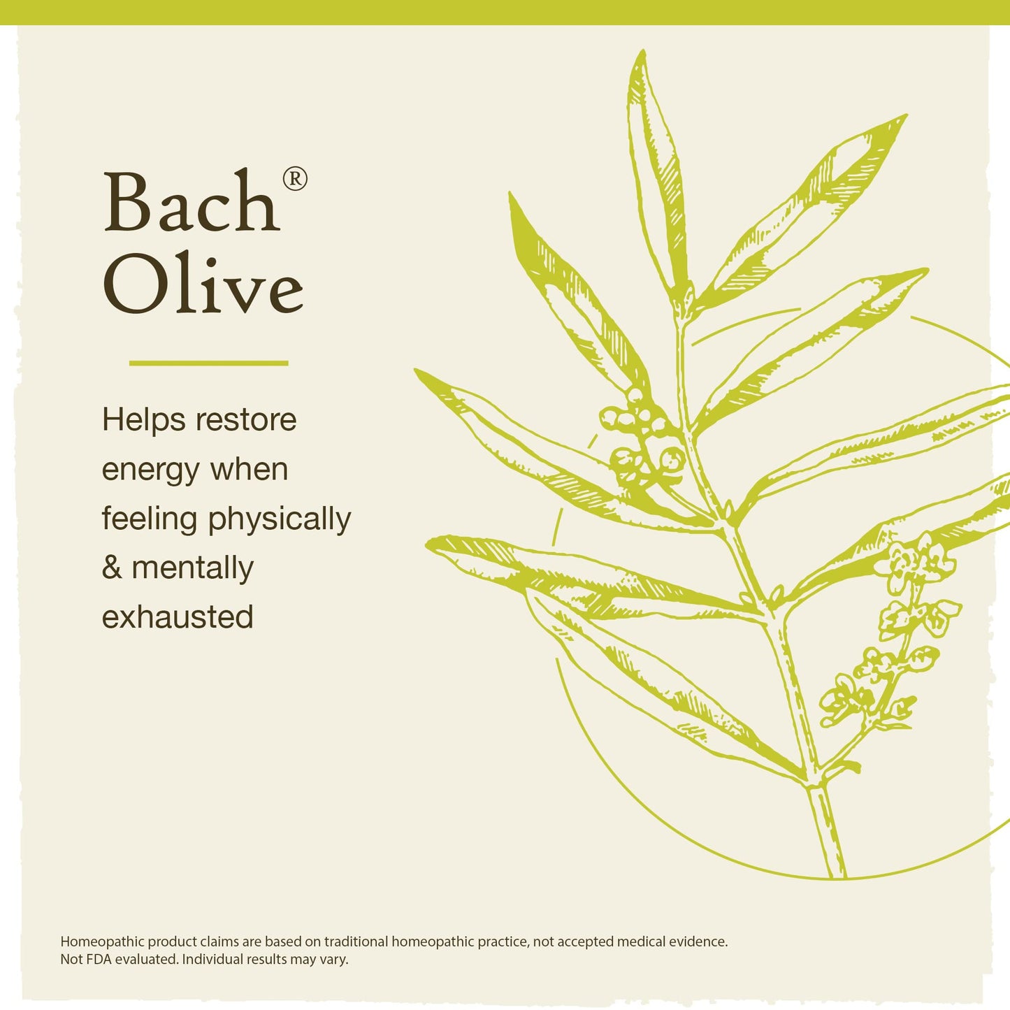 Bach Original Flower Remedies, Olive for Energy (Non-Alcohol Formula), Natural Homeopathic Flower BachBuy Supplements Australia