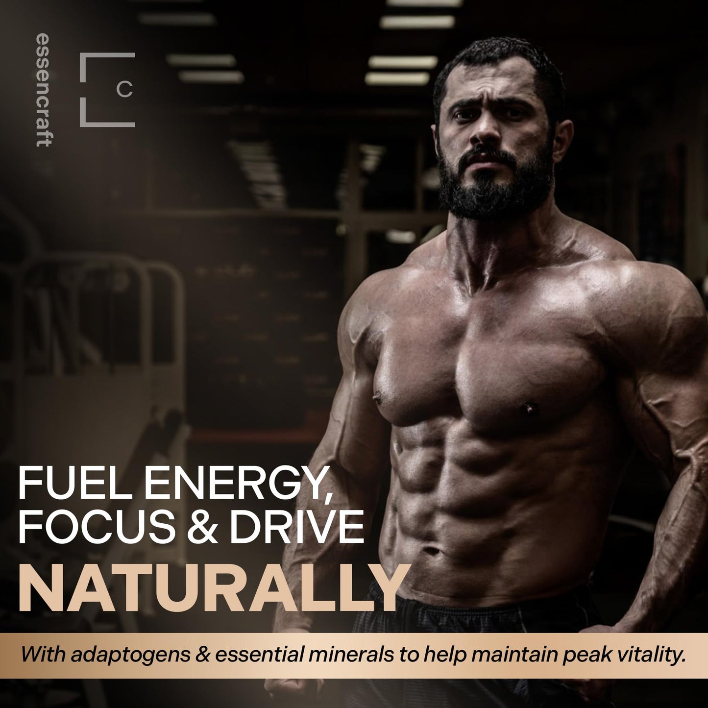 Essencraft Atlas X Testosterone Supplement for Men – 10-in-1 Natural Testosterone Booster & Muscle Booster w/Shilajit, Zinc, Tongkat Ali, & More (120 Capsules) EssencraftBuy Supplements Australia