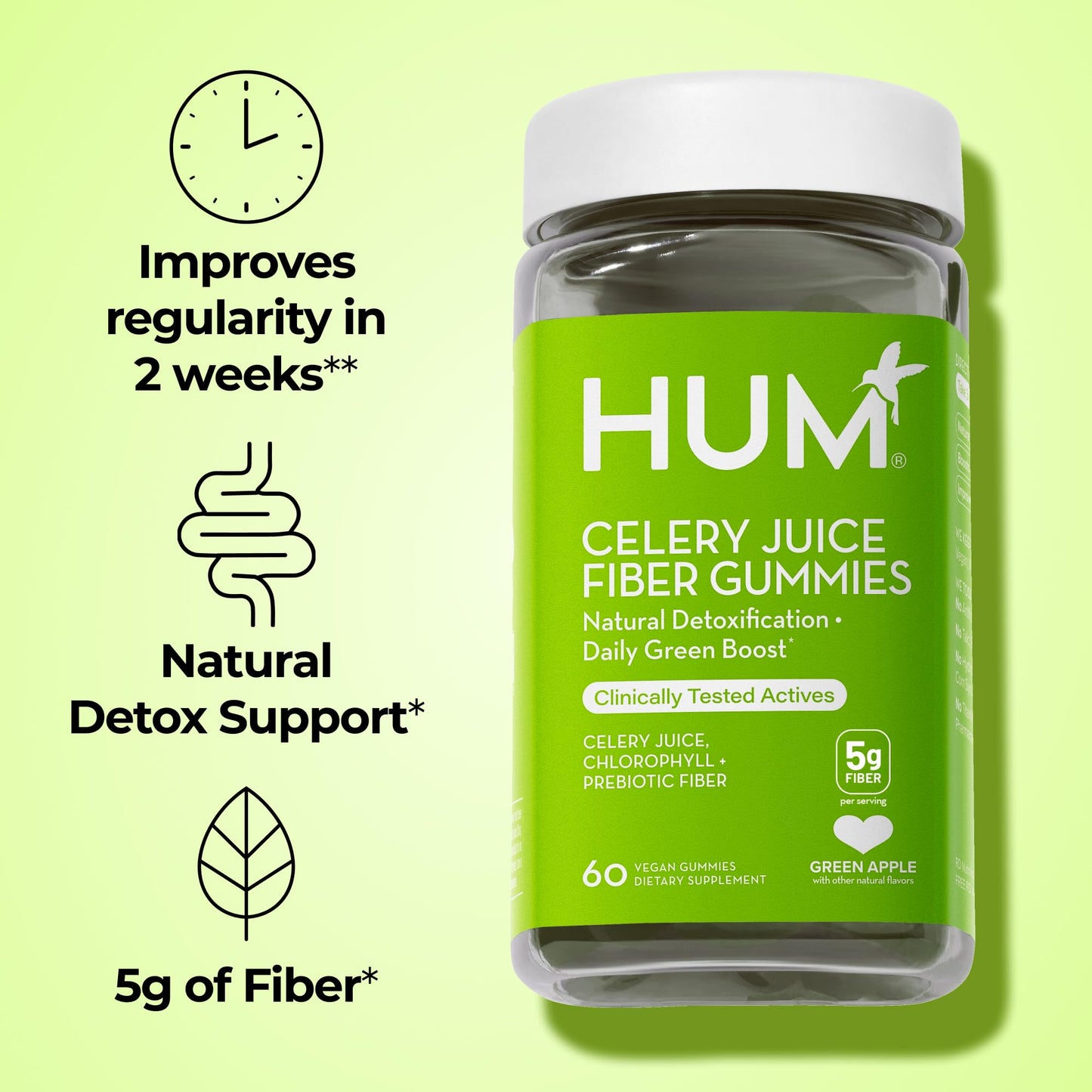 HUM Celery Juice Fiber Gummies for Adults, First Prebiotic Celery Juice Gummy, Gluten Free Fiber Supplement Supports Detoxification, Gut Health, Greens Gummies, Chlorophyll & Prebiotic Fiber, 60 Count HUMBuy Supplements Australia