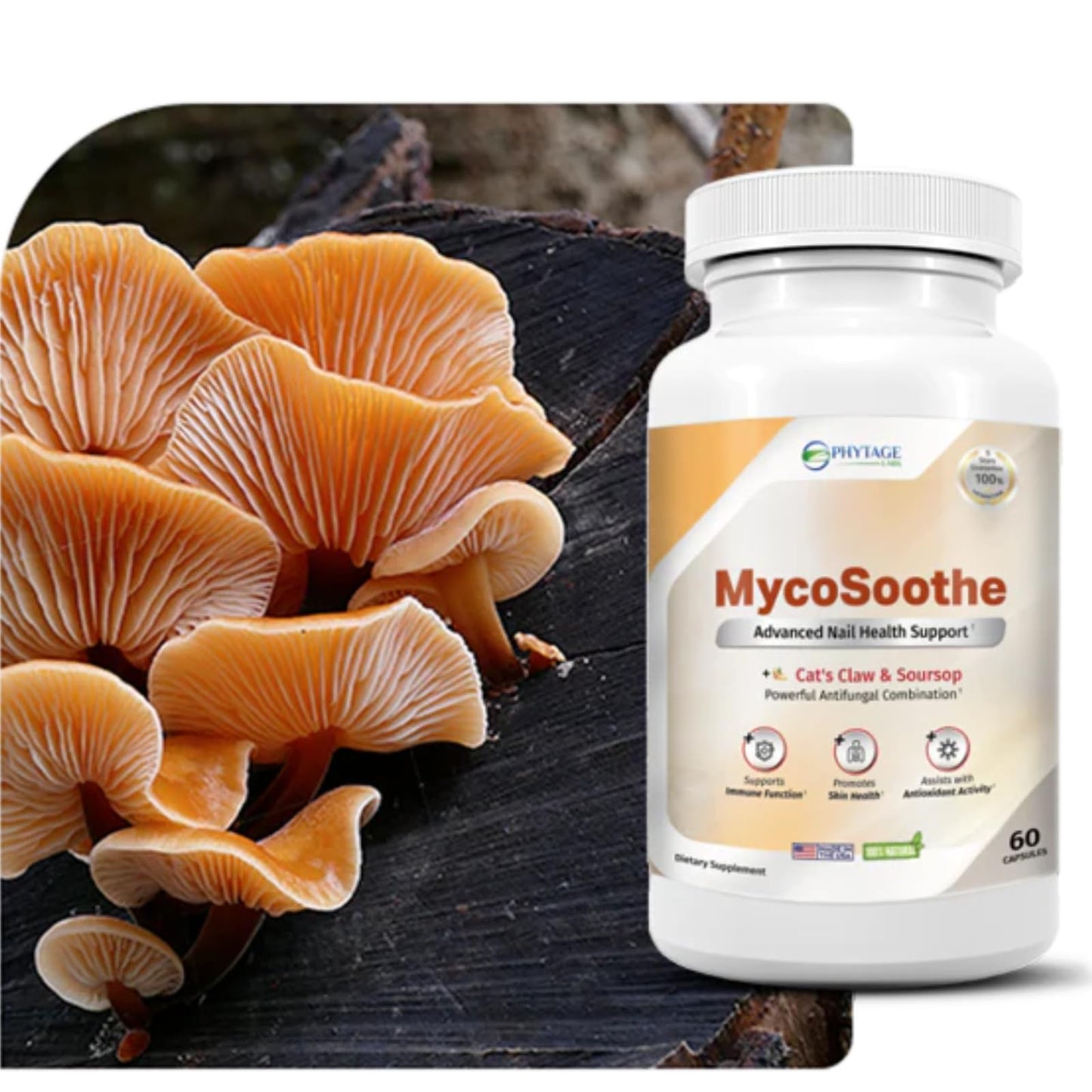 Phytage Labs MycoSoothe Advanced Hair, Skin, Nail & Immunity Support Formula - 60 Capsules Phytage LabsBuy Supplements Australia
