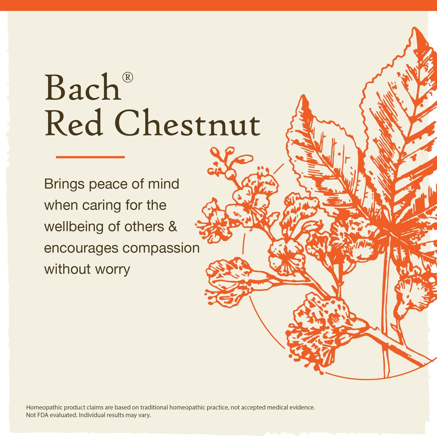 Bach Original Flower Remedies, Red Chestnut for Peace of Mind (Non-Alcohol Formula) BachBuy Supplements Australia