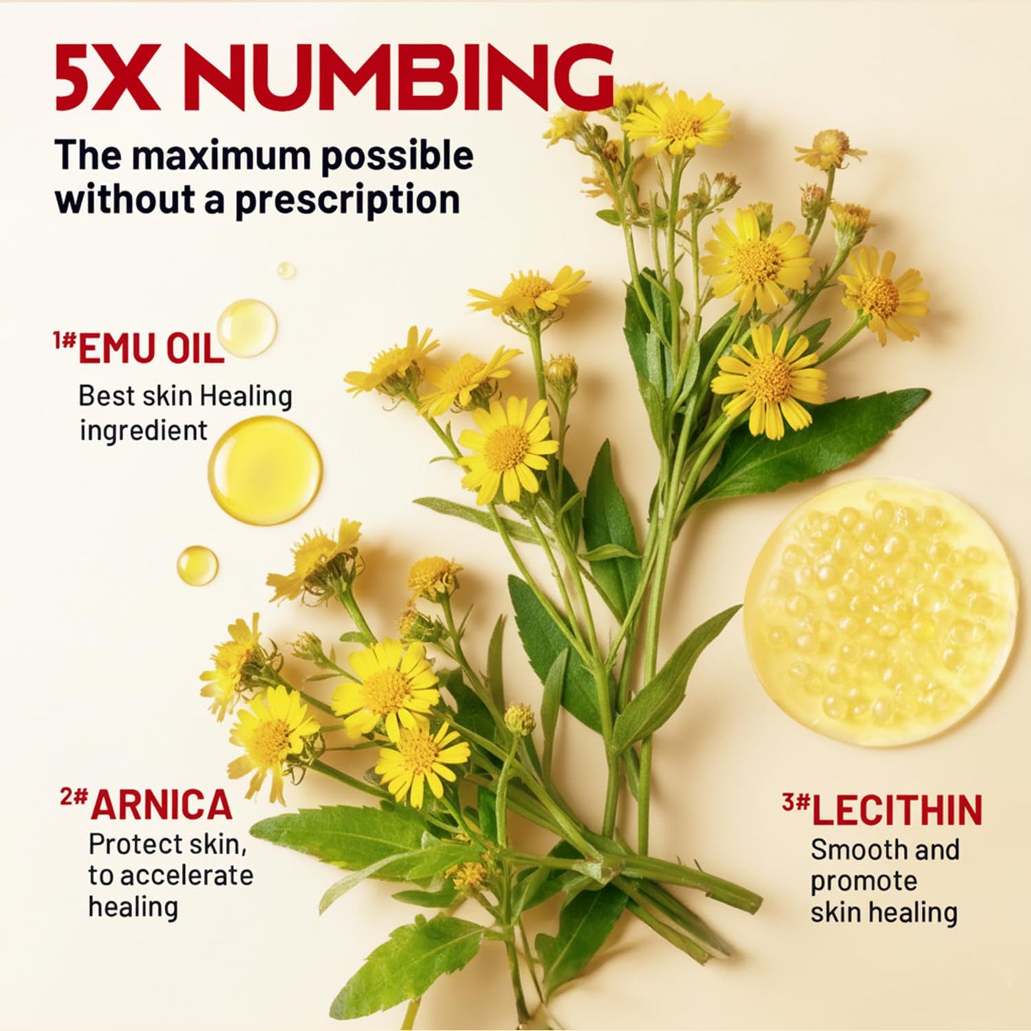 Acolye Numbing Cream Maximum Strength : 5% Lidocaine Topical Anesthetic - Extra Strength 5X Numbing with Menthol Arnica and Emu Oi (2 Fl Oz, Mint Flavor) - Maple Wellness Supplements