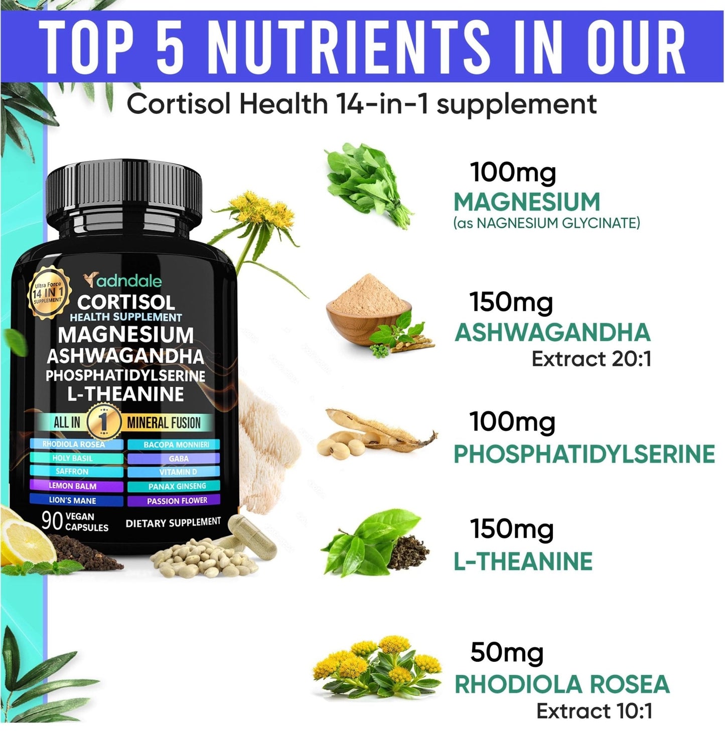 Adndale Cortisol Supplements for Women. Cortisol Reducer 14-in-1 Ashwagandha Supplement with Magnesium Glycinate, L-Theanine & More. 90 Capsules. - Maple Wellness Supplements