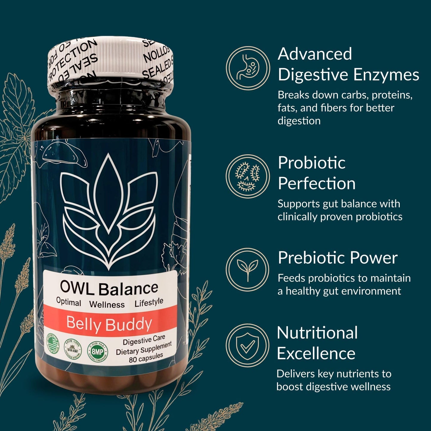 Belly Buddy Advanced Gut Health Support containing a helthy Blend of Probiotics, Prebiotics, and Digestive Enzymes - Maple Wellness Supplements