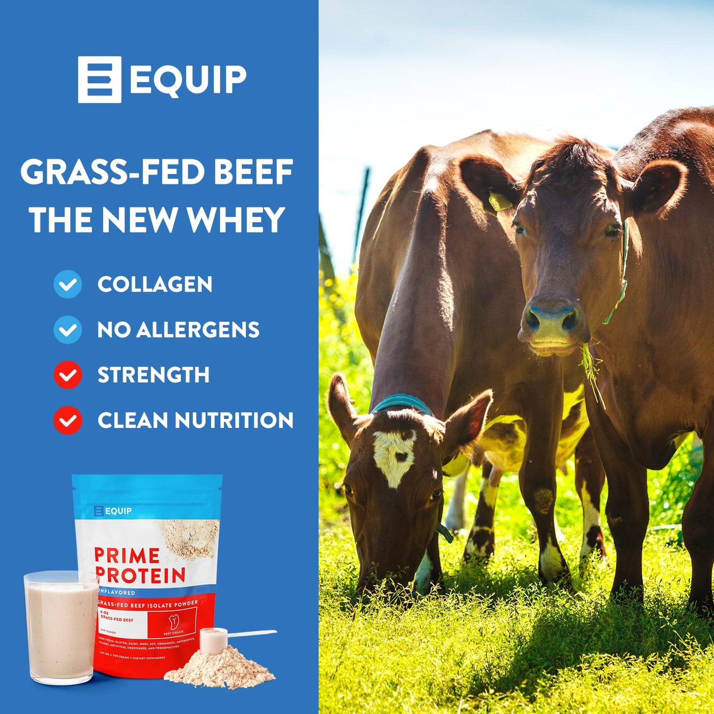 Equip Foods Prime Protein - Grass Fed Beef Protein Powder Isolate - Paleo and Keto Friendl - Maple Wellness Supplements