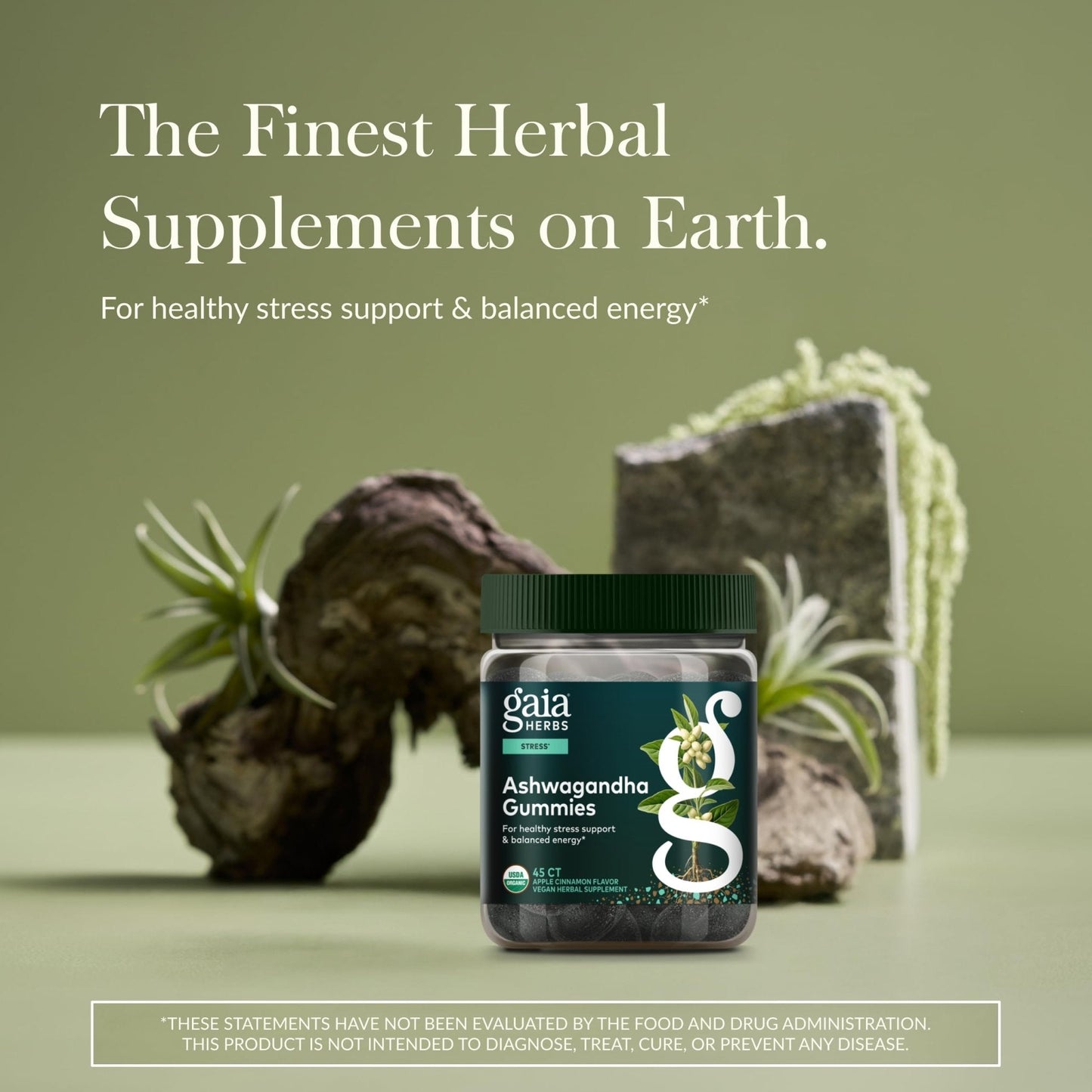 Gaia Herbs Organic Ashwagandha Gummies - Stress Support* - Made with Cinnamon & Ginger - Gluten Free & Vegan - 45 Count (15 Servings) - Maple Wellness Supplements
