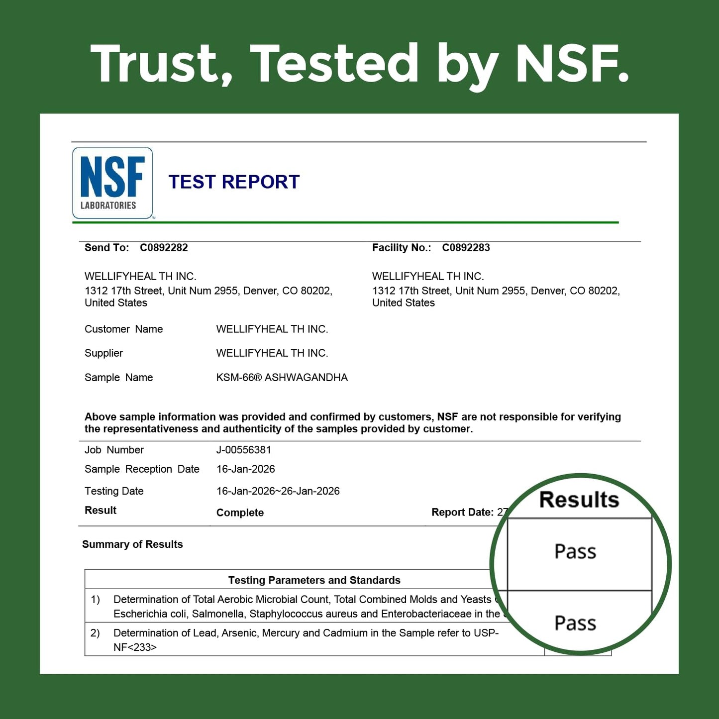 GlowEver KSM-66 Ashwagandha Supplements with L-Theanine Moringa Organic Mushrooms Complex Ginseng Ginkgo Biloba - Mood & Energy Support, Cortisol Manager, Immune Support, 60 Vegan Capsules - Maple Wellness Supplements