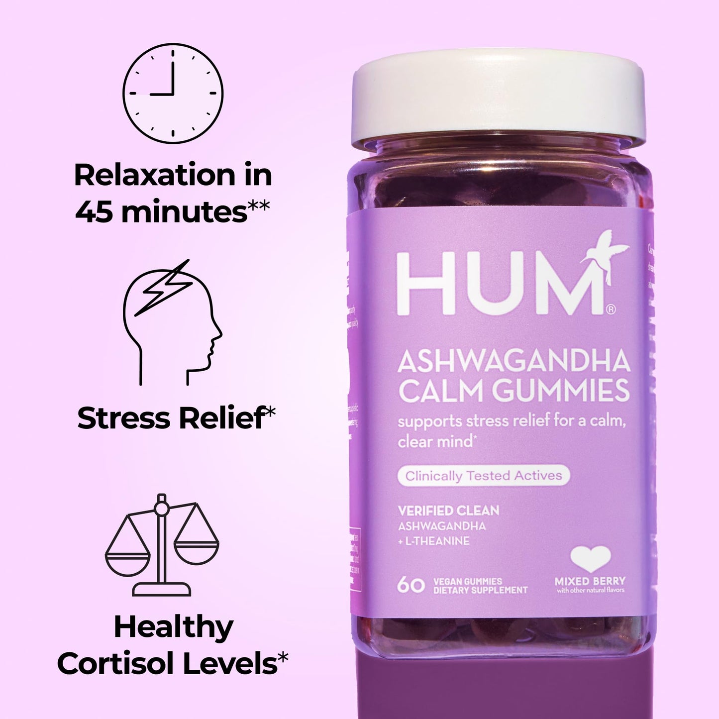 HUM Calm Ashwagandha Gummies for Women and Men, L-Theanine Ashwagandha Supplements for Daily Relaxation & Clarity Support, Vegan Fast Acting Gummy Formula, Mixed Berry Flavor, 60 Gummies - Maple Wellness Supplements