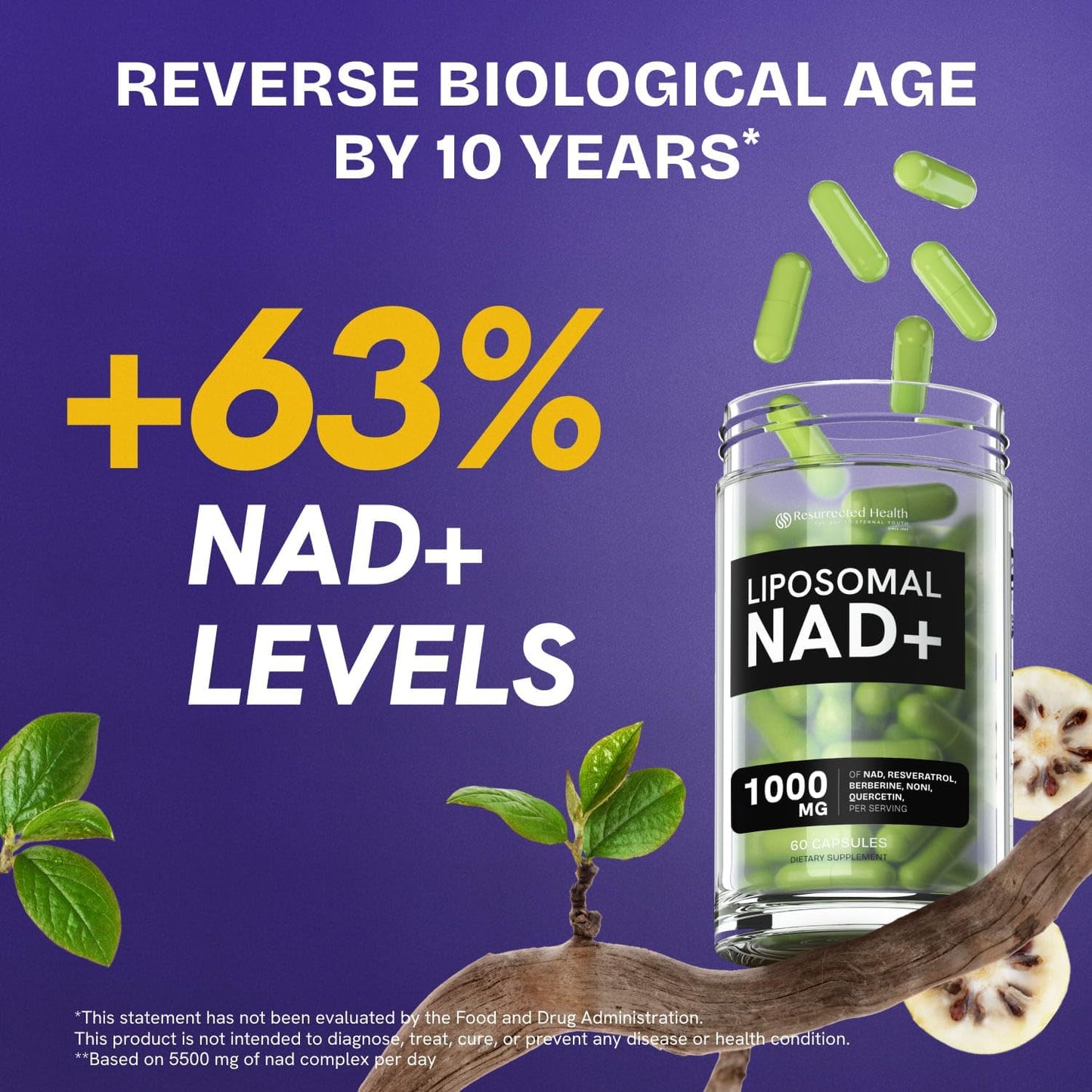 Liposomal NAD Supplement for Women w/Noni | 5-in-1 NAD Resveratrol Supplement w/Berberine & Quercetin | Pure NMN Powder Alternative | Supports Anti Aging & NAD+ Levels | 60 caps - 1 Pack - Maple Wellness Supplements