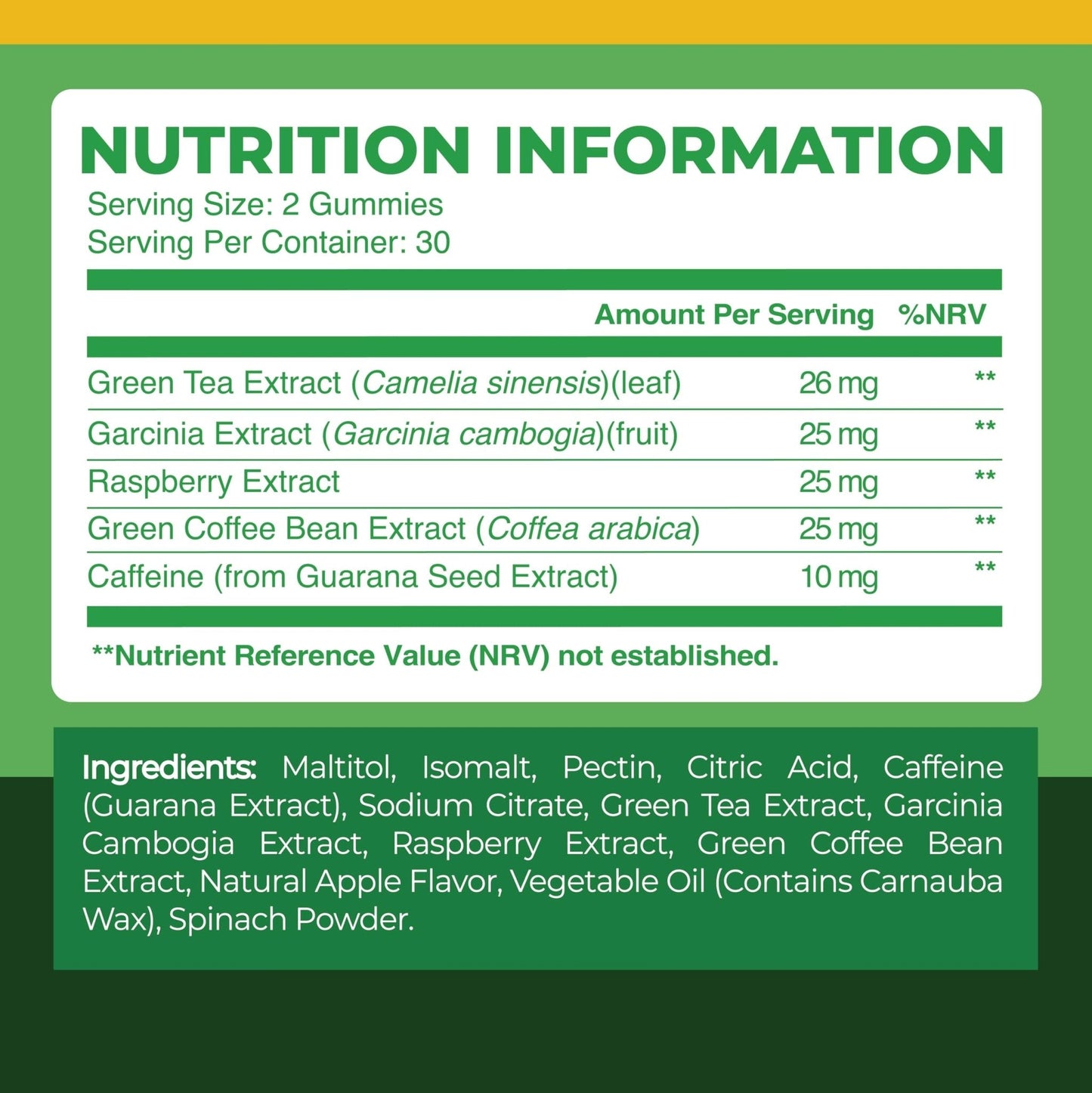 Nobi Nutrition Green Tea Fat Burner Gummies for Weight Loss | Metabolism Boost - Maple Wellness Supplements