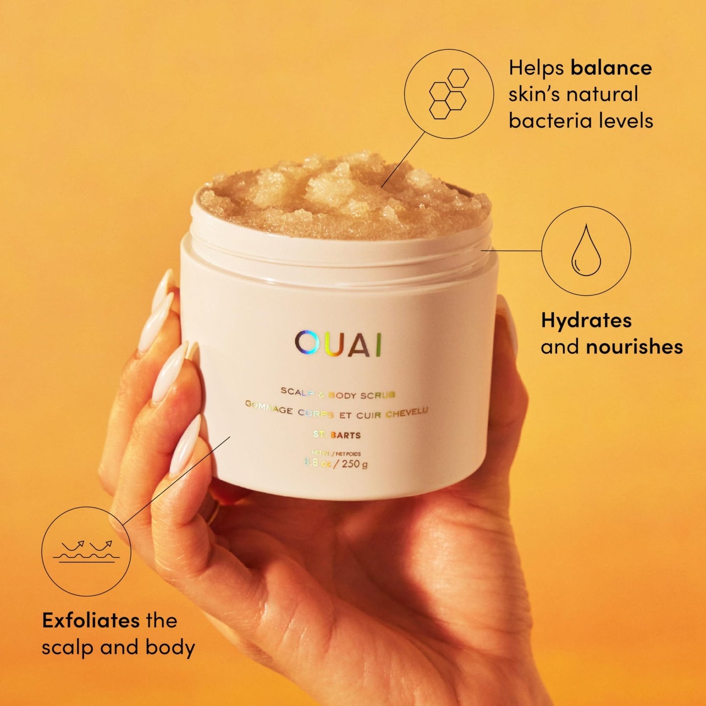 OUAI Scalp & Body Scrub, St. Barts - Exfoliating Body Scrub with Sugar & Coconut Oil Blend for Smooth, Moisturized Skin - Gentle Scalp Exfoliator for Removing Product Build Up (8.8 Oz) - Maple Wellness Supplements