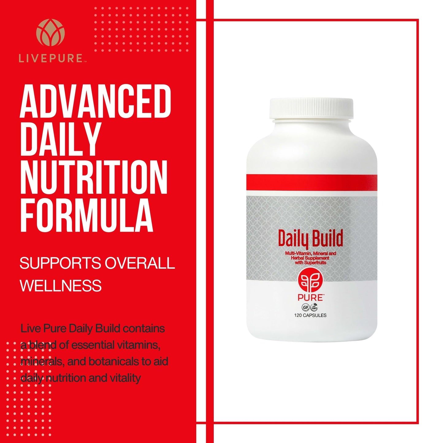 PURE Daily Build | 120 Capsules | Advanced Multivitamin Supplement | Enhanced with Essential Vitamins, Minerals - Maple Wellness Supplements