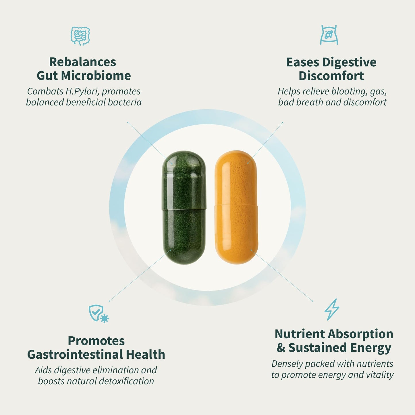 Snap Supplements Gut Health Lipase Supplement & Organic Spirulina Chlorella Bundle–Probiotic + Greens–Supports Digestion, Detox, Energy & Immune Health, 50 - Maple Wellness Supplements