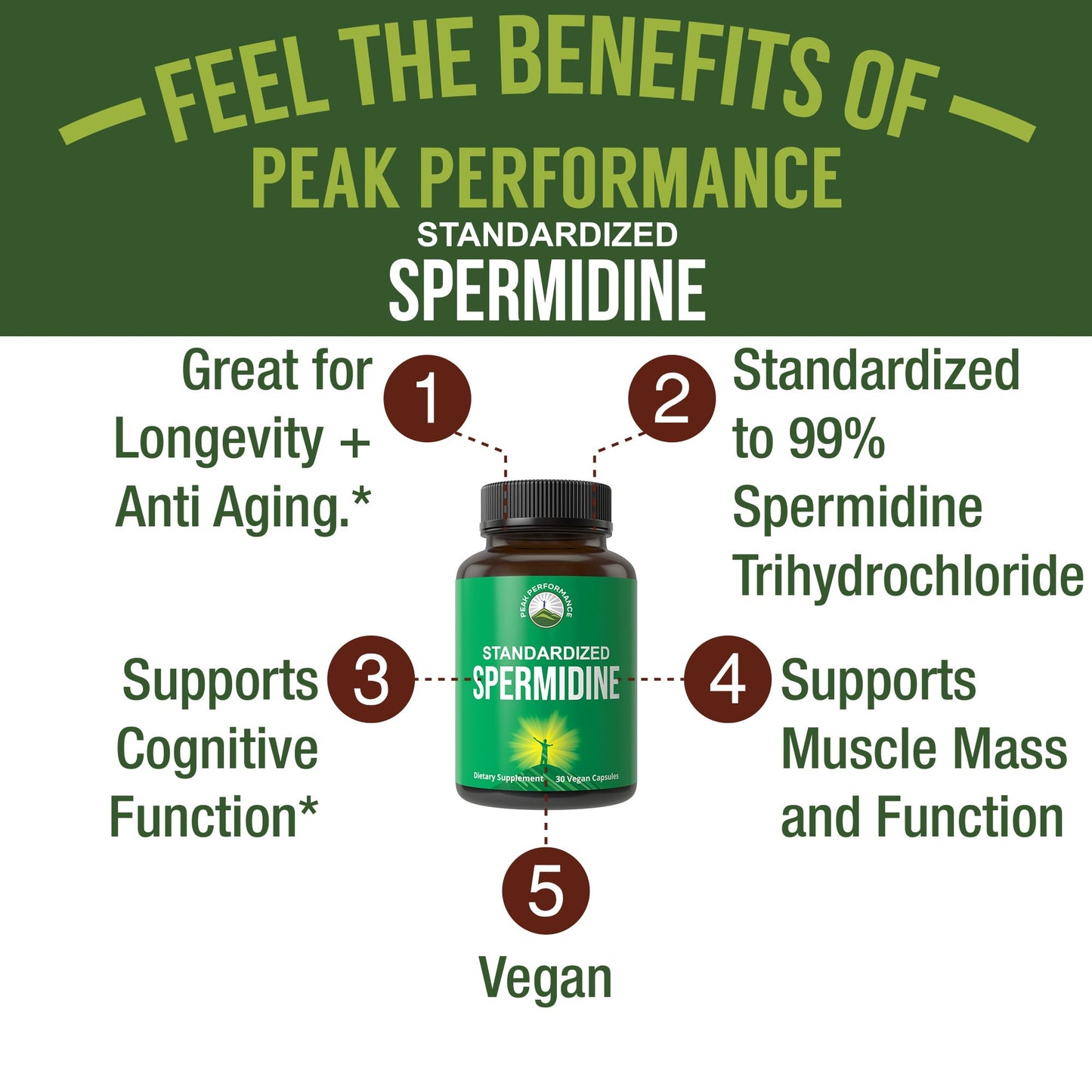 Spermidine Supplement Ultra High Strength Standardized to 99% Spermidine Trihydrochloride. More Potent Than Wheat Germ Extract. Vegan Capsules for Healthy Aging, Longevity. USA Tested Supplements - Maple Wellness Supplements