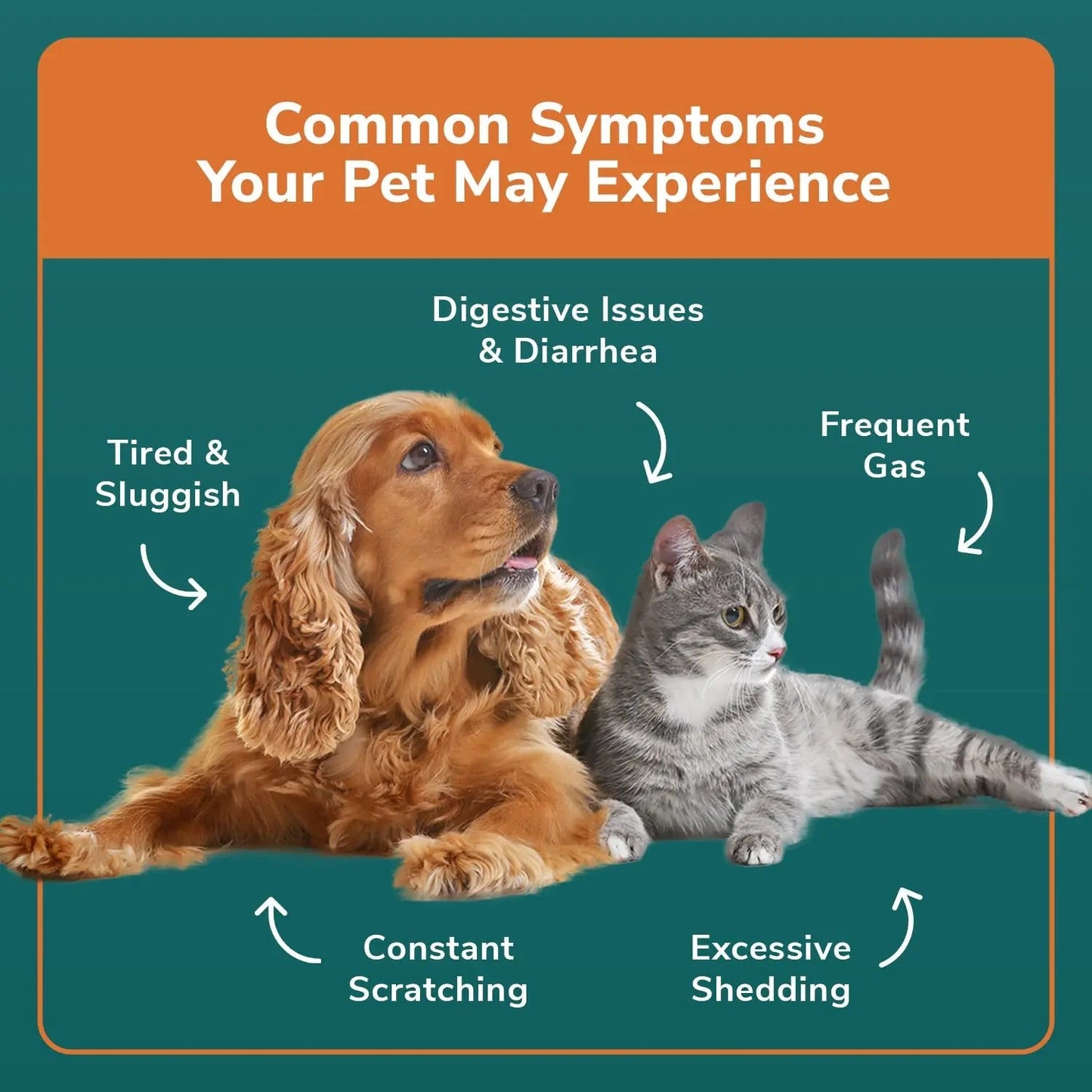 TotalVet Dog Allergy +1000 Food & Nutritional Sensitivity Test, Pet Intolerance Kit at Home — Advanced Complement to DNA Tests for Complete Pet Wellness - Maple Wellness Supplements