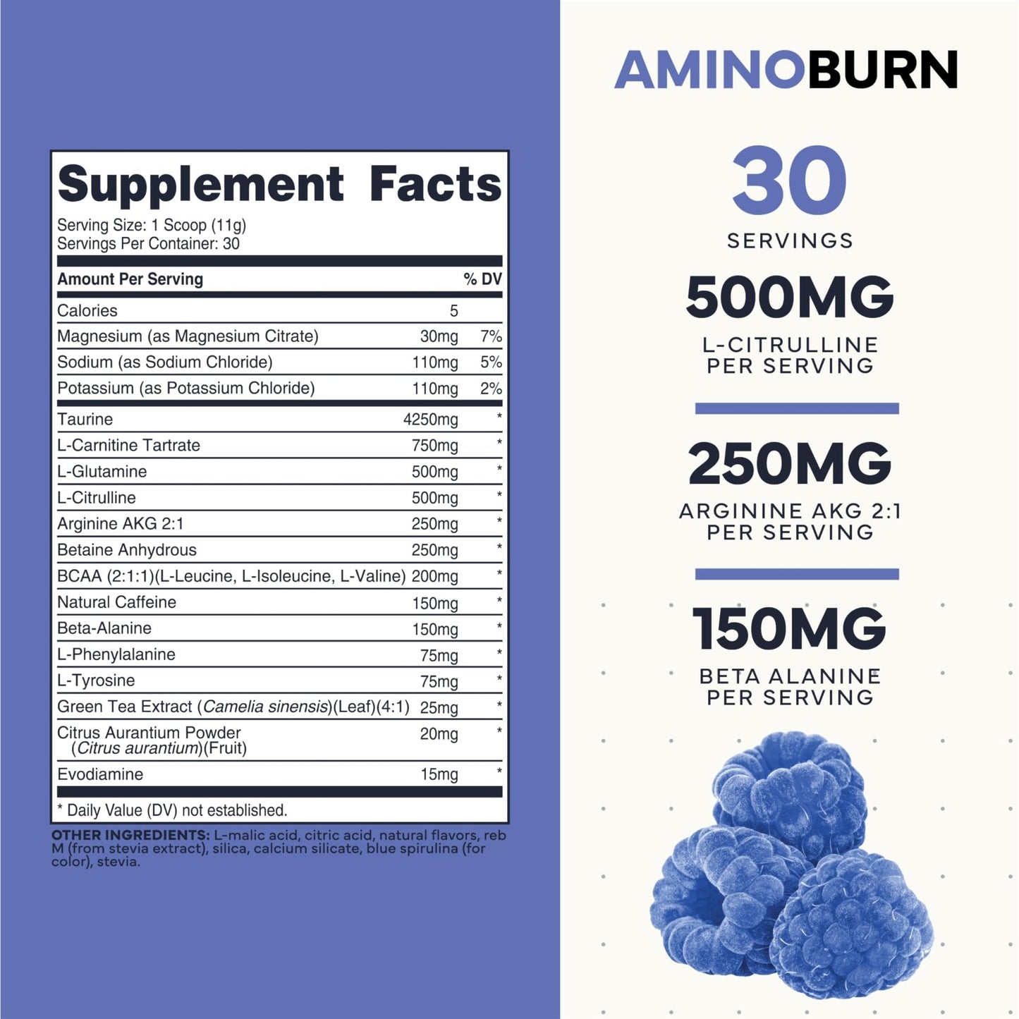 Type Zero Amino Burn - Vegan BCAA + Clean Pre Workout Powder with Arginine AKG, L-Citrulline & Beta Alanine - Amino Acid Clean Energy, Endurance & Hydration Supplement - Blue Raspberry, 30 Servings - Maple Wellness Supplements