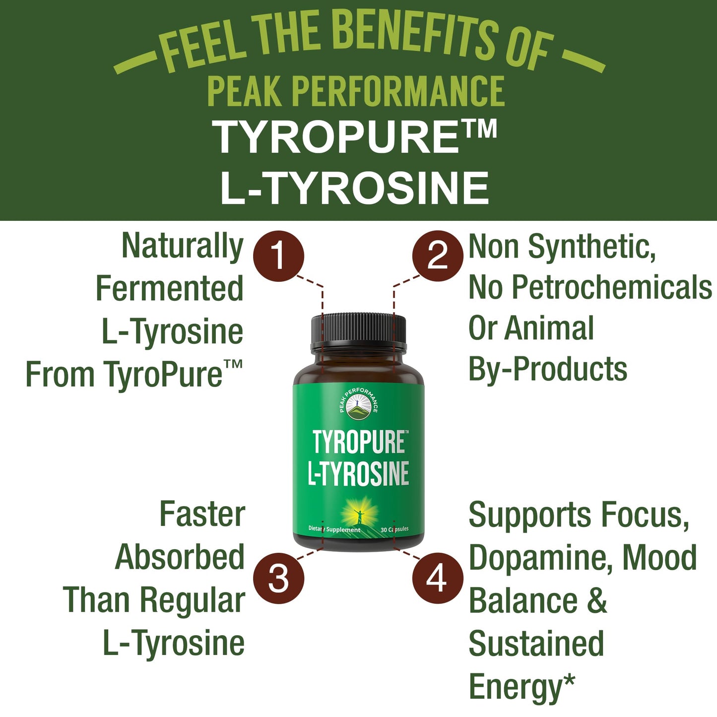 TyroPure L Tyrosine Supplement. More Bioavailable, Cleaner Version of L-Tyrosine. Vegan, Naturally Fermented 500mg Capsules for Mental Clarity, Dopamine. Mood Support for Women and Men - Maple Wellness Supplements