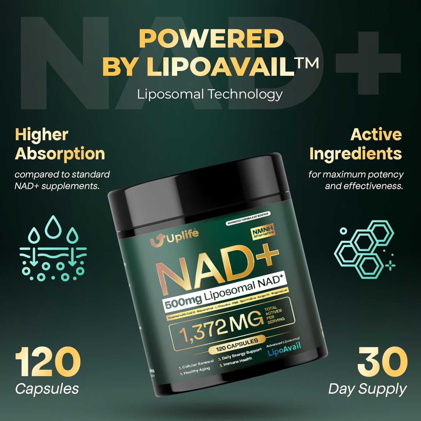 UPLIFE NAD+ Supplement 1,372mg – Liposomal NAD+ with CoQ10, Resveratrol, Spermidine, L-Theanine, Apigenin & PQQ – NMNH Alternative Booster Cellular Energy, Healthy Aging, Immune Health – 120 Capsules - Maple Wellness Supplements