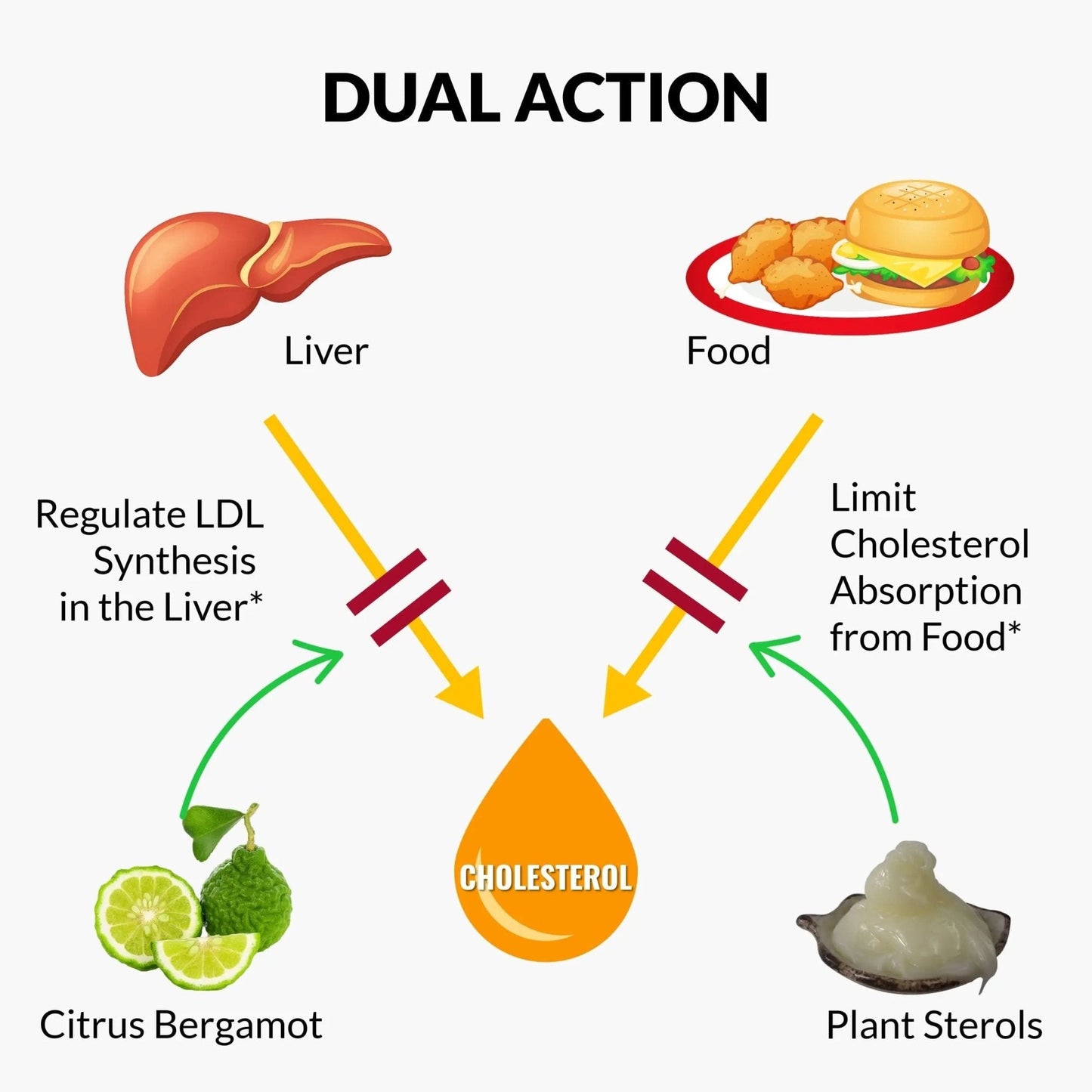 UpNourish Plant Sterols Citrus Bergamot Supplement for High Cholesterol with CoQ10, Omega 3, Olive Leaf, Turmeric Curcumin, Black Garlic and Niacin - 120 Softgels - Maple Wellness Supplements