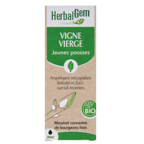 Vigne vierge BIO Macérat mère bourgeons Flacon 30 ml HERBALGEM - Maple Wellness Supplements