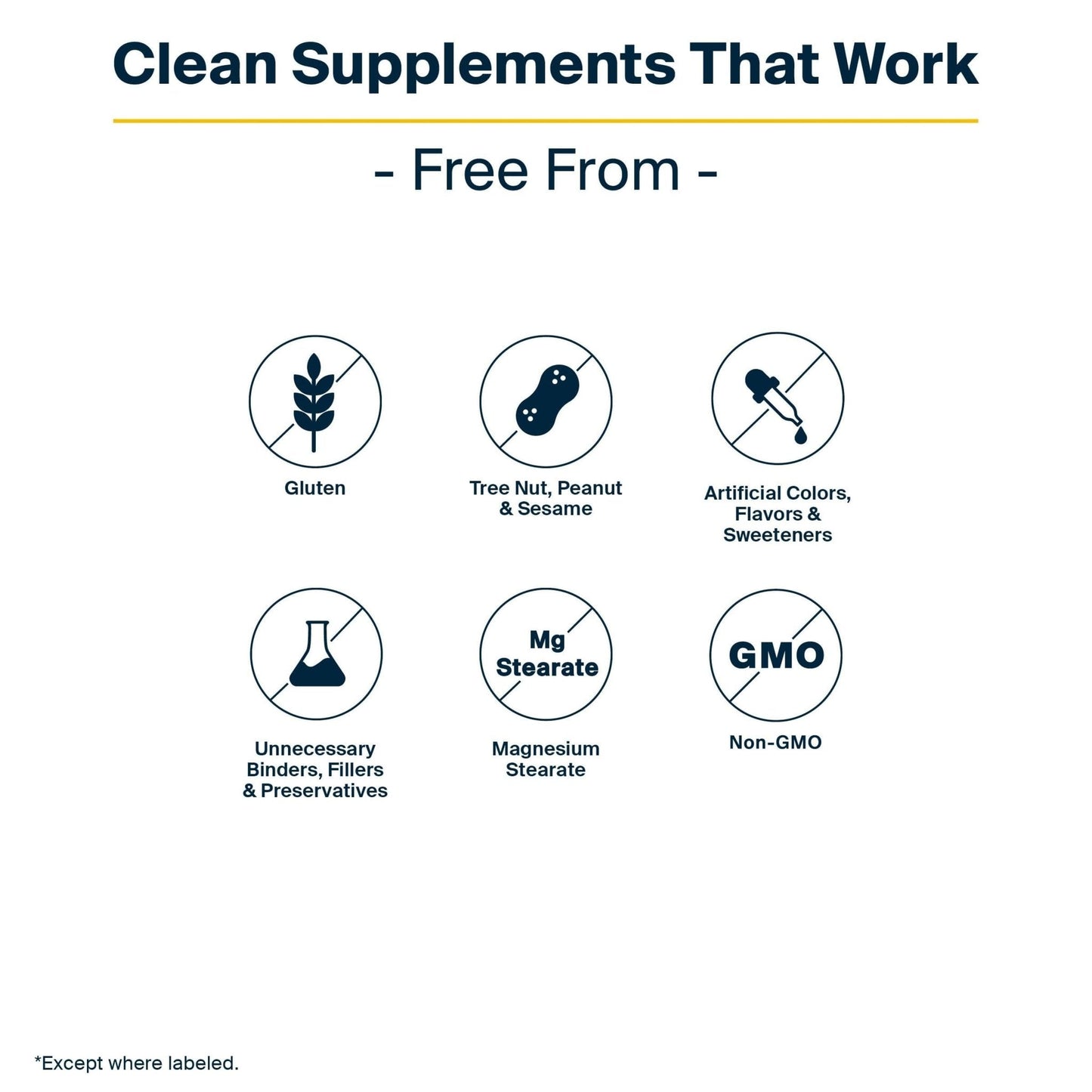 Vital Nutrients GI Repair Powder - Leaky Gut Powder with L Glutamine and Zinc - Digestive Enzyme Supplement to Support Gut Health - Maple Wellness Supplements