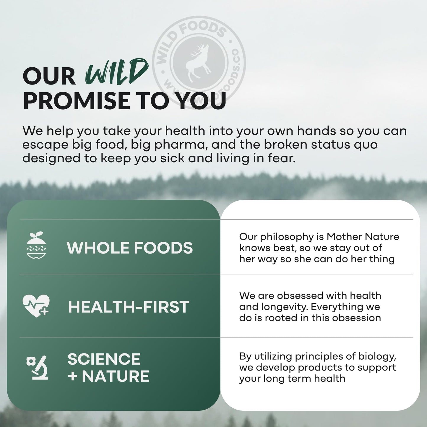 Wild Prebiotics and Probiotics with Digestive Enzymes | 20 Billion CFU - 10 Strains for Women & Men | Support Gut Health & Digestion Supplements | Non-GMO Prebiotic Fiber | 30 Capsules - Maple Wellness Supplements