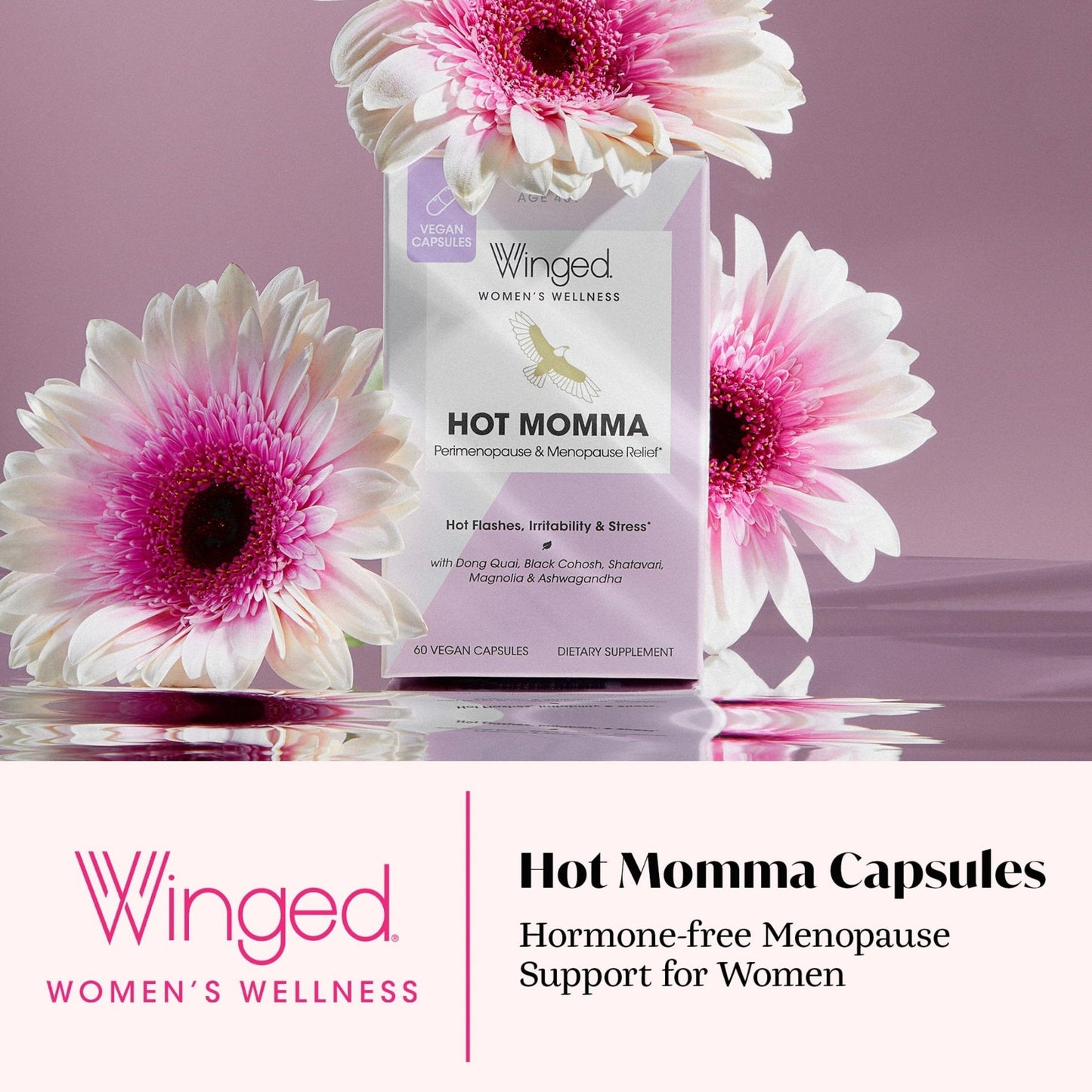 Winged Wellness Hot Momma Menopause Supplements for Women - Hormone-Free Menopause Relief Support for Hot Flashes & Night Sweats with Chaste Tree Berry, Multivitamins & Shatavari - 60 Vegan Capsules - Maple Wellness Supplements