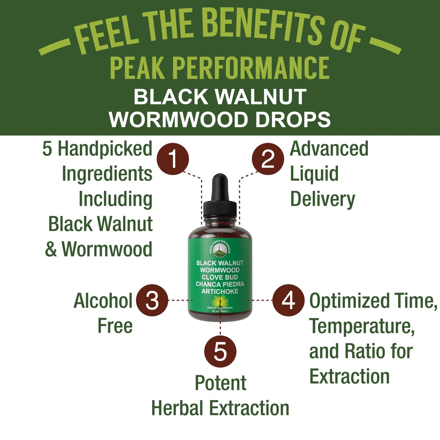 Wormwood Black Walnut Clove Cleanse for Humans. Elimination Detox + Intestinal Support Liquid Tincture Supplement for Adults and Kids. with Artichoke and Chanca Piedra for Additional Benefits - Maple Wellness Supplements