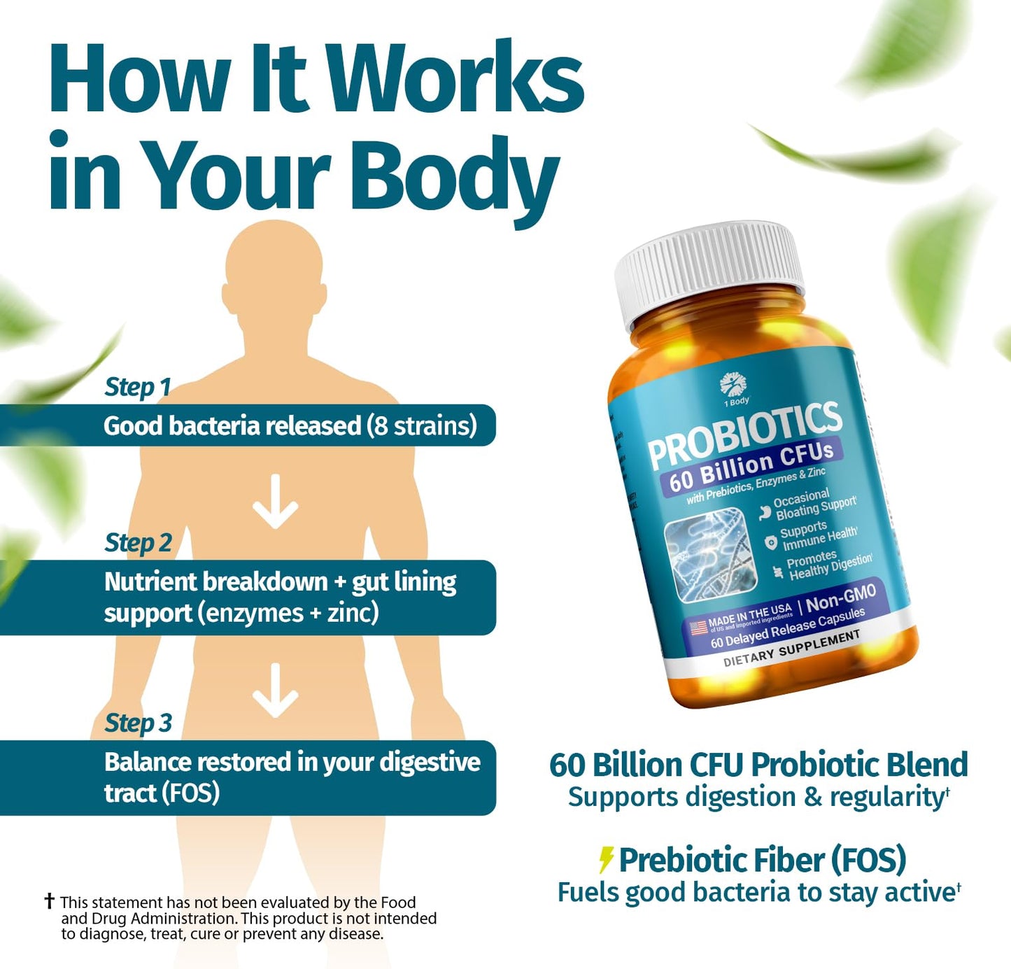 1 Body Probiotic 60 Billion for Men & Women, Gut Health Support with Prebiotics, Digestive Enzymes, Zinc & L-Glutamine, Non-GMO, 60 Vegan Capsules - Maple Wellness Supplements