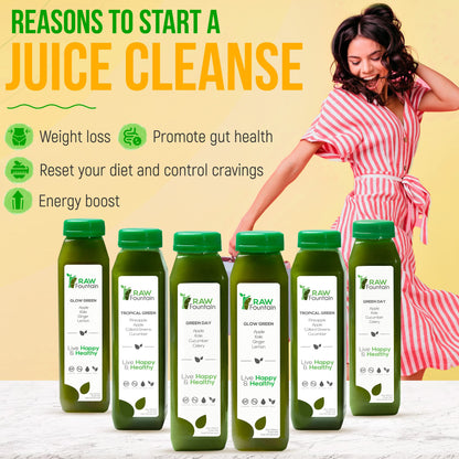 1 Day Green Juice Cleanse by Raw Fountain, All Natural Raw, Vegan Detox, Cold Pressed - Maple Wellness Supplements