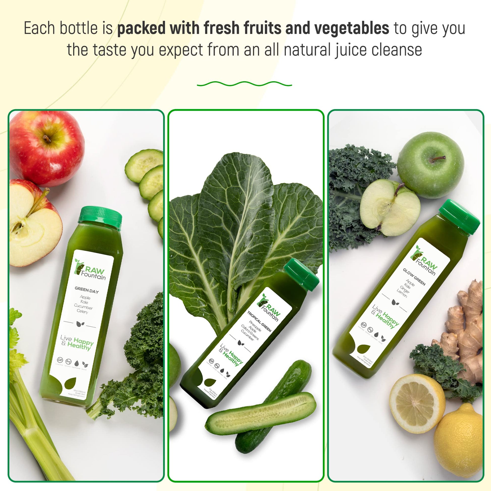 1 Day Green Juice Cleanse by Raw Fountain, All Natural Raw, Vegan Detox, Cold Pressed - Maple Wellness Supplements