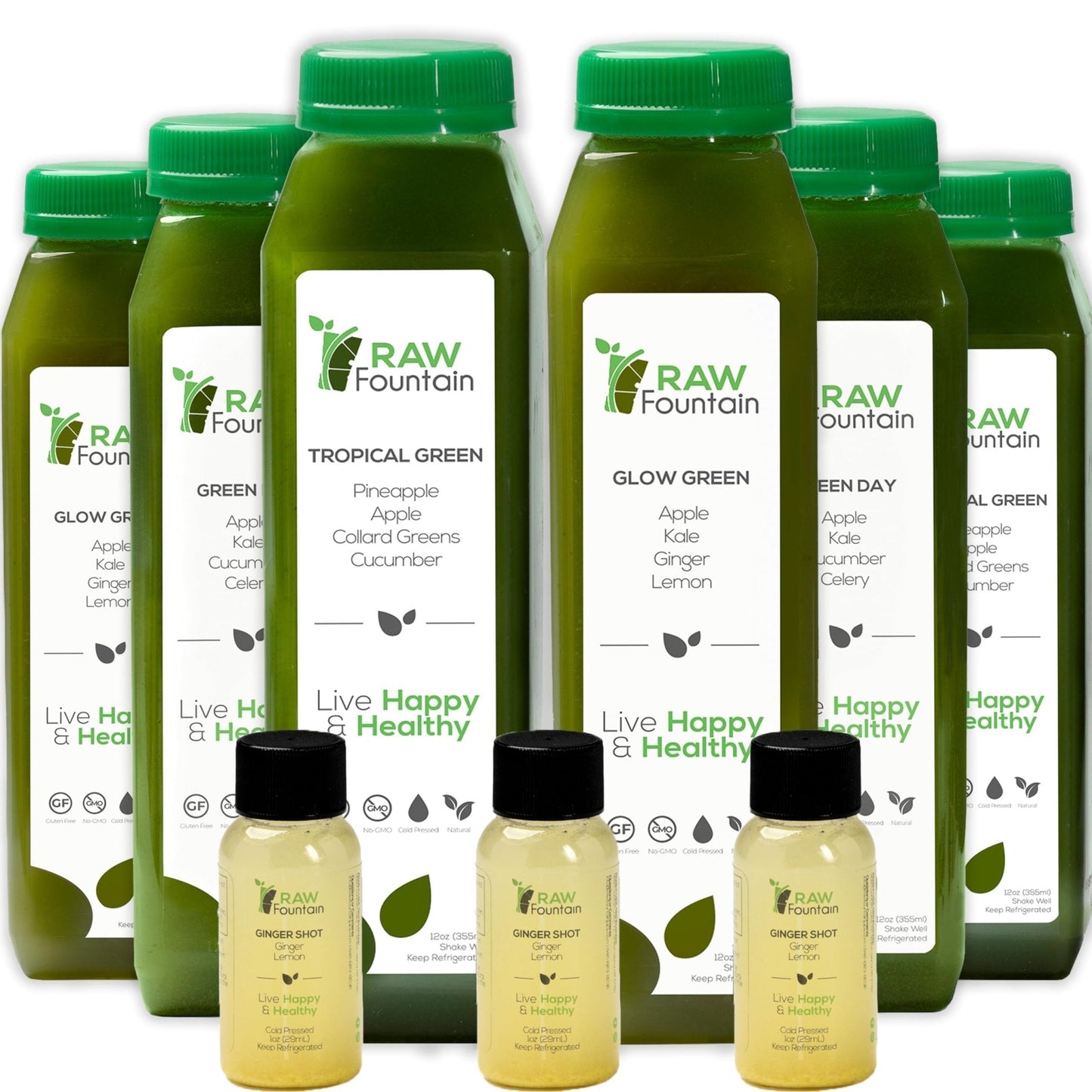 1 Day Green Juice Cleanse by Raw Fountain, All Natural Raw, Vegan Detox, Cold Pressed - Maple Wellness Supplements