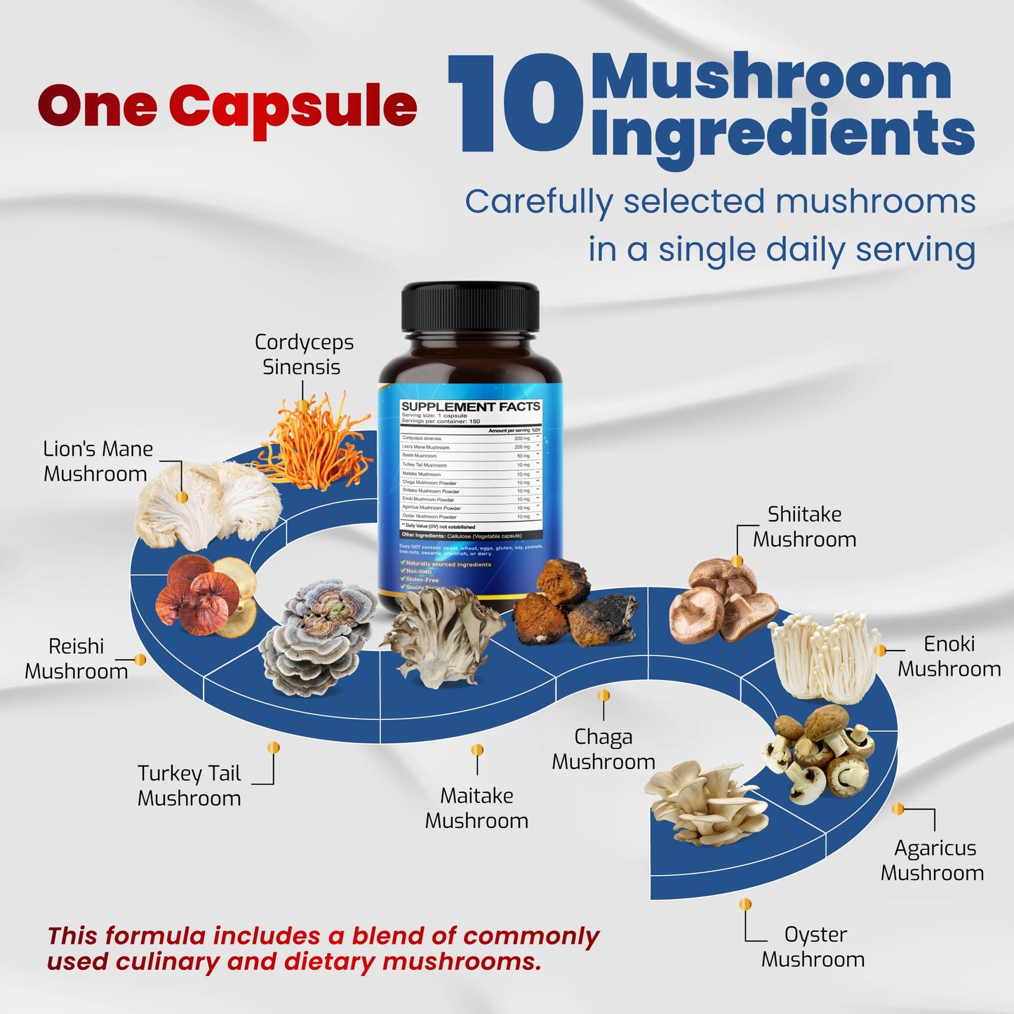 10 in 1 High Strength Mushroom Supplement - Lions Mane, Cordyceps, Reishi - Brain Supplements for Memory and Focus ** 5-Month Supply - Maple Wellness Supplements