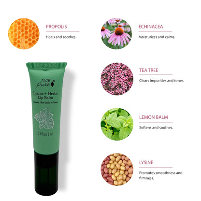100% PURE Lysine + Herbs Healing Lip Balm Natural Soothing Nourishment for Sore, Cracked, Chapped - Maple Wellness Supplements
