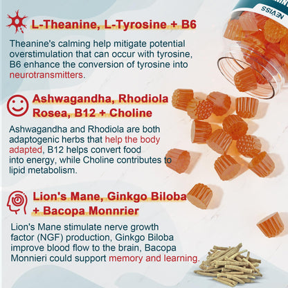 11-IN-1 Brain Supplement for Memory and Focus with L-Tyrosine L-Theanine, Methylated B12 & B6, Lion's Mane Mushroom, Ginkgo Biloba, Bacopa Monnieri, Choline for Focus, Nootropic, Energy, 2Packs - Maple Wellness Supplements