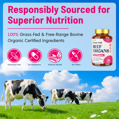 12-In-1 Beef Organ Supplement for Women - Beef Liver, Uterus, Kidney, Heart, Pancreas, 5 Vitamins & 2 Herbs, Hormone Balance, Menstruation, Energy, Immune - 100% Grass Fed, Pasture Raise - 120 Caps - Maple Wellness Supplements