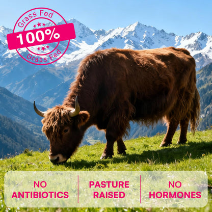 12-In-1 Beef Organ Supplement for Women - Beef Liver, Uterus, Kidney, Heart, Pancreas, 5 Vitamins & 2 Herbs, Hormone Balance, Menstruation, Energy, Immune - 100% Grass Fed, Pasture Raise - 120 Caps - Maple Wellness Supplements