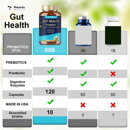 14-in-1 Gut Health with Probiotics, Prebiotics, Postbiotics & Digestive Enzymes for Women & Men, 60 Billion CFU Probiotics for Digestion, Strong Immunity, - Maple Wellness Supplements