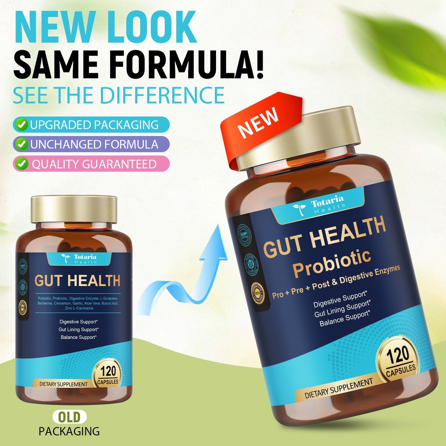 14-in-1 Gut Health with Probiotics, Prebiotics, Postbiotics & Digestive Enzymes for Women & Men, 60 Billion CFU Probiotics for Digestion, Strong Immunity, - Maple Wellness Supplements