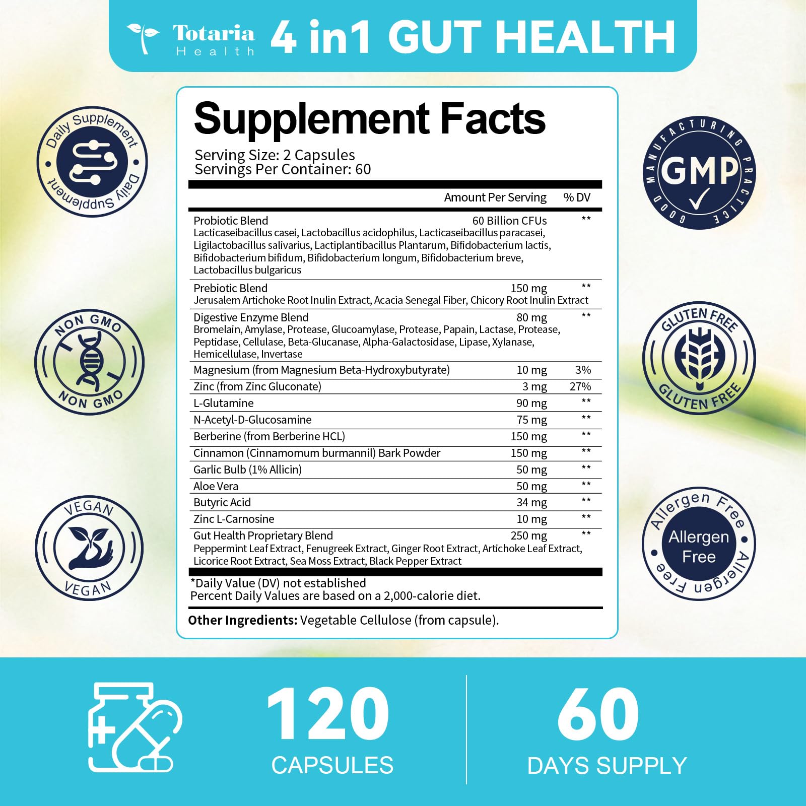14-in-1 Gut Health with Probiotics, Prebiotics, Postbiotics & Digestive Enzymes for Women & Men, 60 Billion CFU Probiotics for Digestion, Strong Immunity, - Maple Wellness Supplements