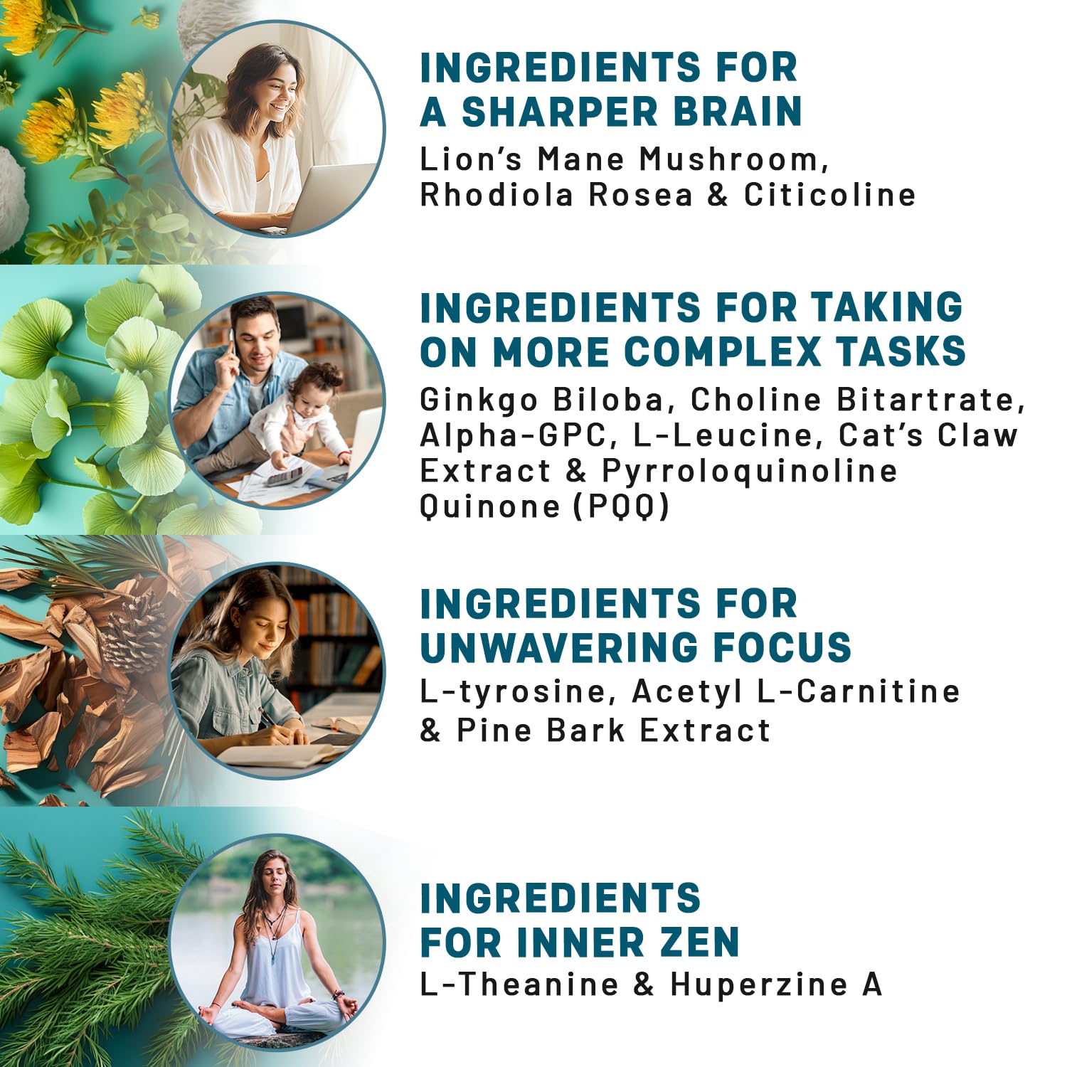 14-in-1 Lions Mane Supplement Capsules - Nootropic Brain Supplement with Ginkgo Biloba for Brain Support, Memory and Focus - Alpha GPC, L Theanine & Choline Supplements with 1300mg Per Serving (60 ct) - Maple Wellness Supplements