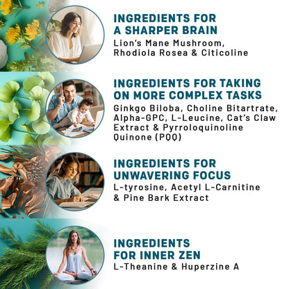 14-in-1 Lions Mane Supplement Capsules - Nootropic Brain Supplement with Ginkgo Biloba for Brain Support, Memory and Focus - Alpha GPC, L Theanine & Choline Supplements with 1300mg Per Serving (60 ct) - Maple Wellness Supplements