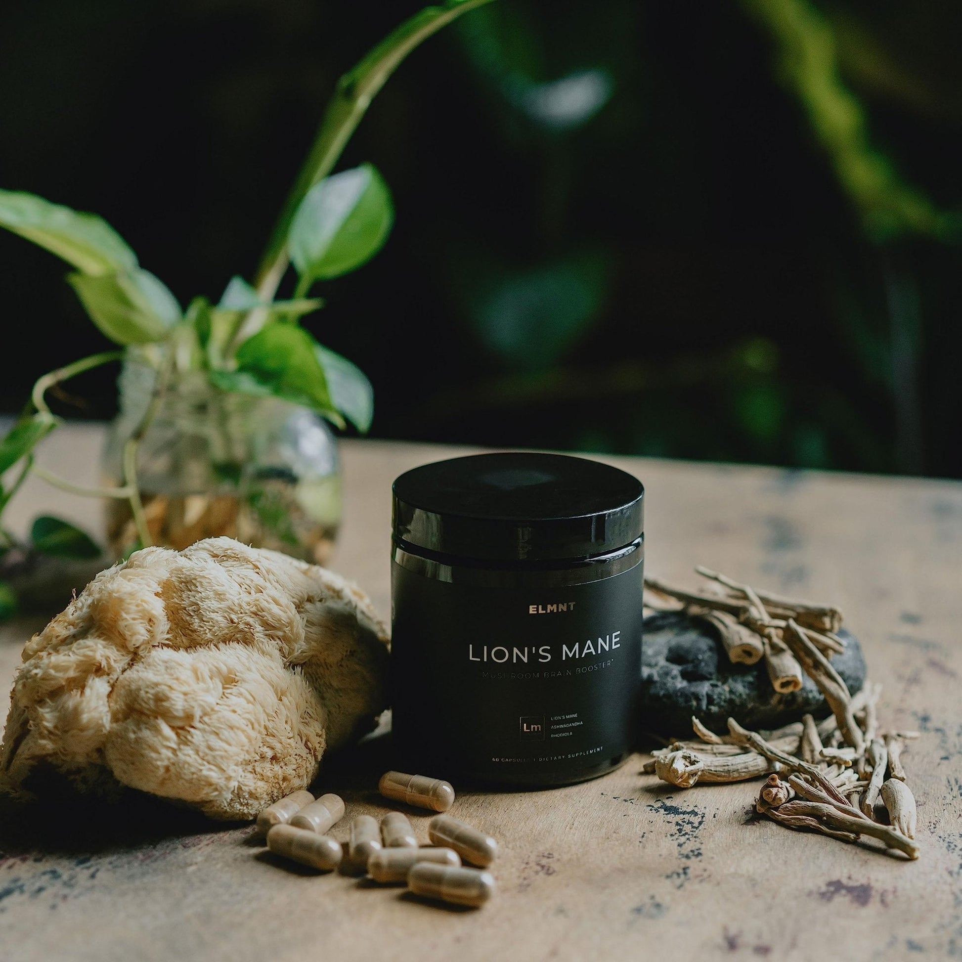 16x Strength Lions Mane Supplement Capsules Super Nootropic w. Ashwagandha & Rhodiola - Highest Potency 16:1 Lion's Mane Mushroom Extract 50% Polysaccharides - Maple Wellness Supplements