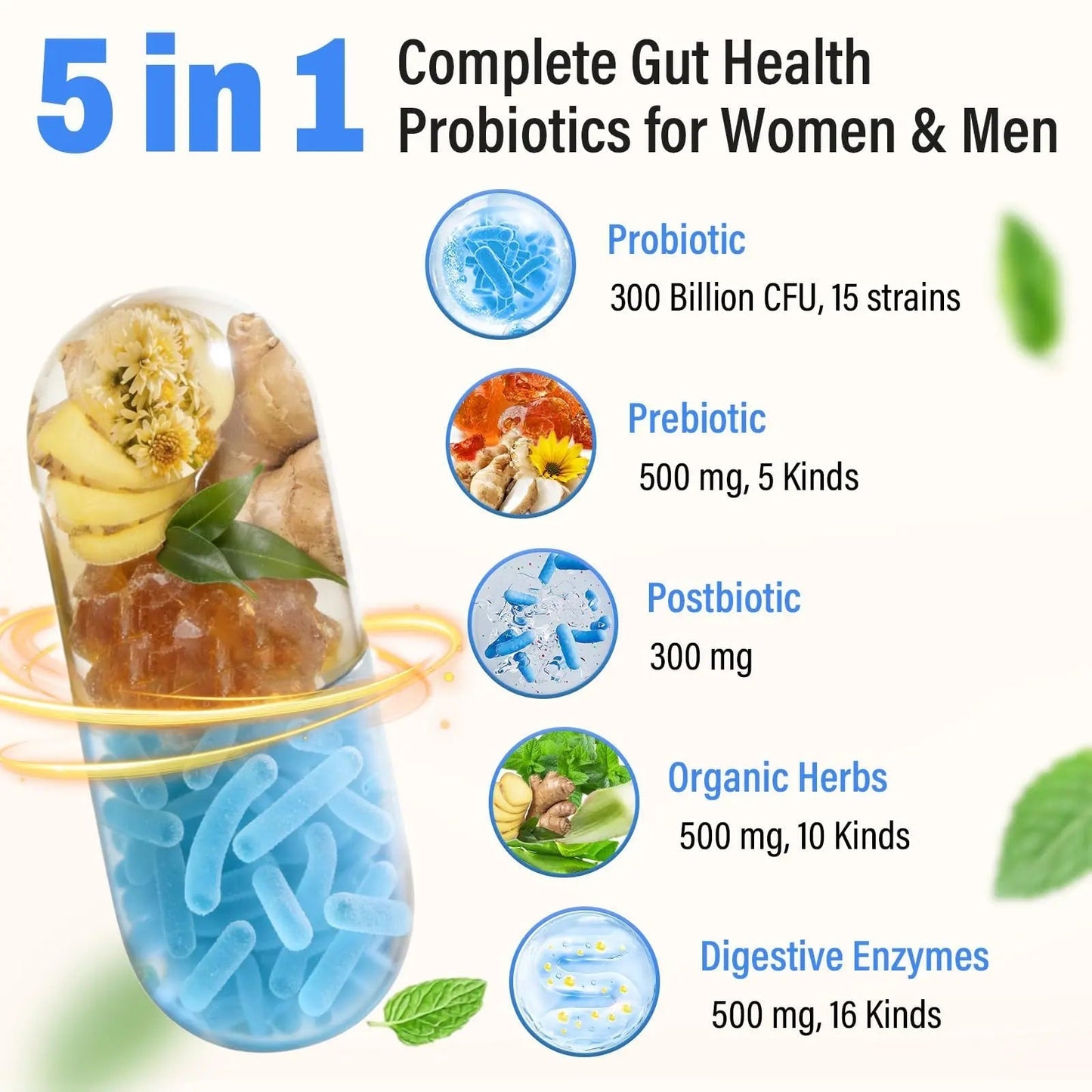 (180 Capsules) Probiotics for Women & Men, 5-in-1 Probiotic, Prebiotic, Postbiotic, Organic Herbs & 16 Digestive Enzymes Blend, 300 Billion CFU, Complete Gut Health, Digestive Health & Immune* - Maple Wellness Supplements