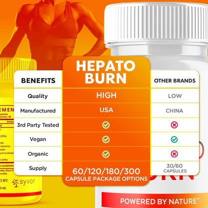 (2 Pack) Hepato Burn Capsules, Official Hepato Burn Pills with All Natural Premium Ingredients, Hepatoburn Energy and Fitness Vitamin Supplement, Hepatoburn Lifestyle Powered by Nature (120 Capsules) - Maple Wellness Supplements