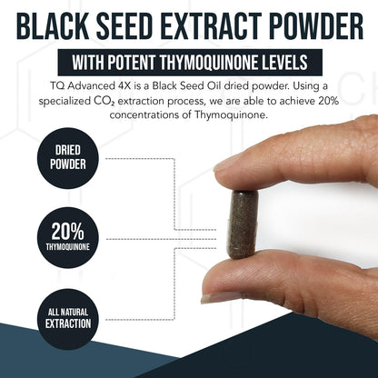 20% Thymoquinone Black Seed Extract Capsules - TQ-Advanced 4X®: Potent Thymoquinone Concentration Available - 60:1 Concentrate from Nigella Sativa - Maple Wellness Supplements