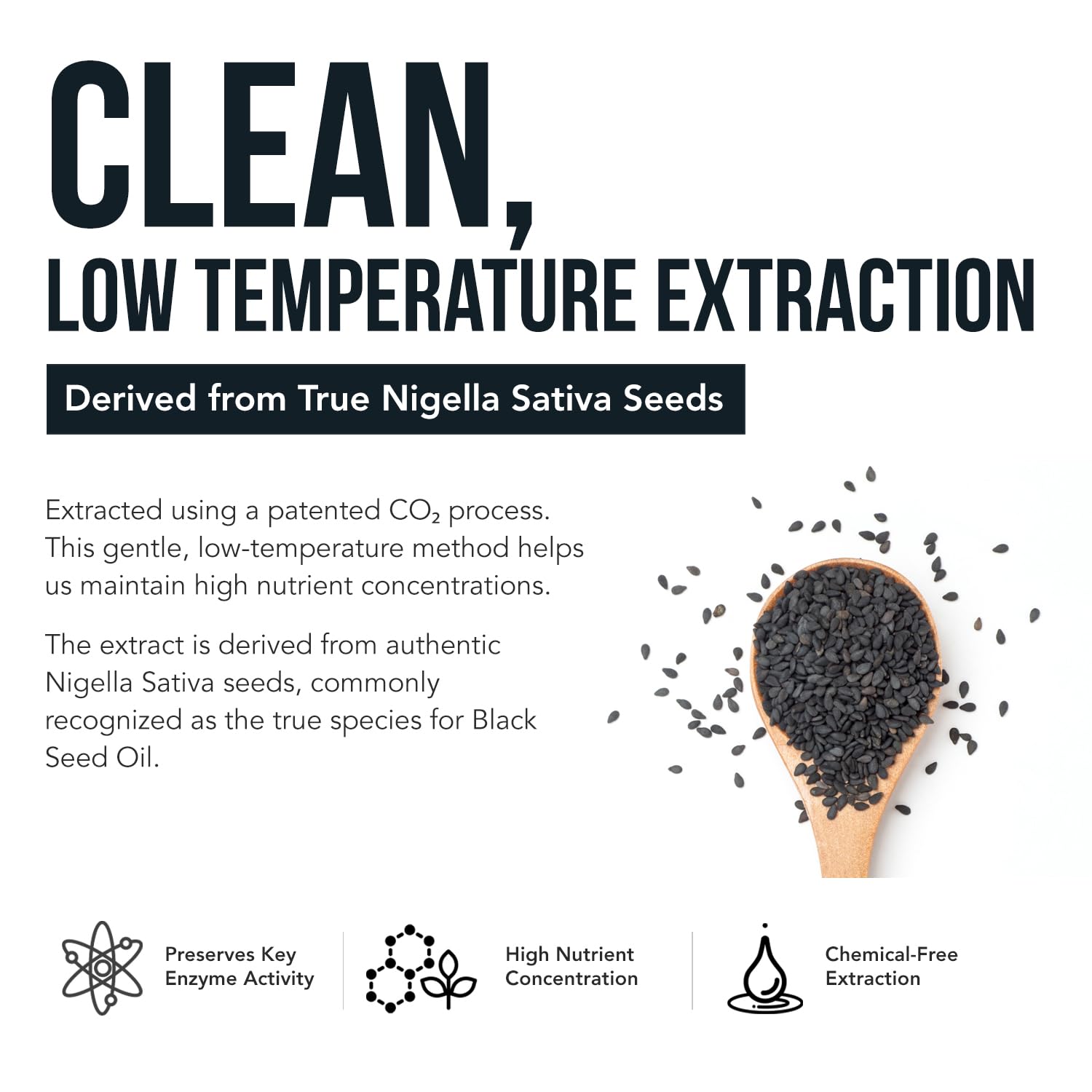 20% Thymoquinone Black Seed Extract Capsules - TQ-Advanced 4X®: Potent Thymoquinone Concentration Available - 60:1 Concentrate from Nigella Sativa - Maple Wellness Supplements