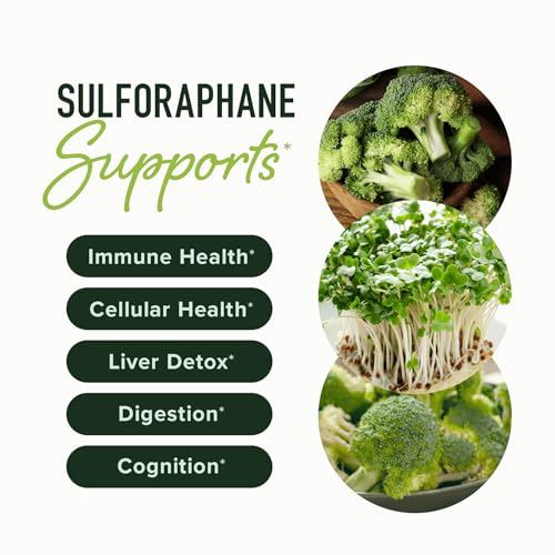 20MG Sulforaphane | From Broccoli Sprouts & Seed Extract | 565MG Microbeadlet - Maple Wellness Supplements