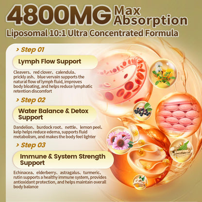 21-in-1 Liposome Lymphatic Drainage Supplements, 45 Day Supply, 4800mg Immune & Lymph System Support, 10:1 Concentrated Technology, Echinacea, Dandelion, Burdock, Bromelain, Calendula, 90 Capsules - Maple Wellness Supplements